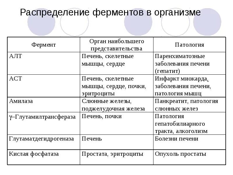 Укажите функцию ферментов. Распределение ферментов в организме человека. Распределение ферментов в органах. Распределение ферментов в органах и тканях. Примеры использования ферментов в медицине.