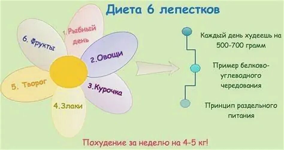 Диета 6 лепестков. День 4. Личный опыт. АнтиOksiдант Дзен