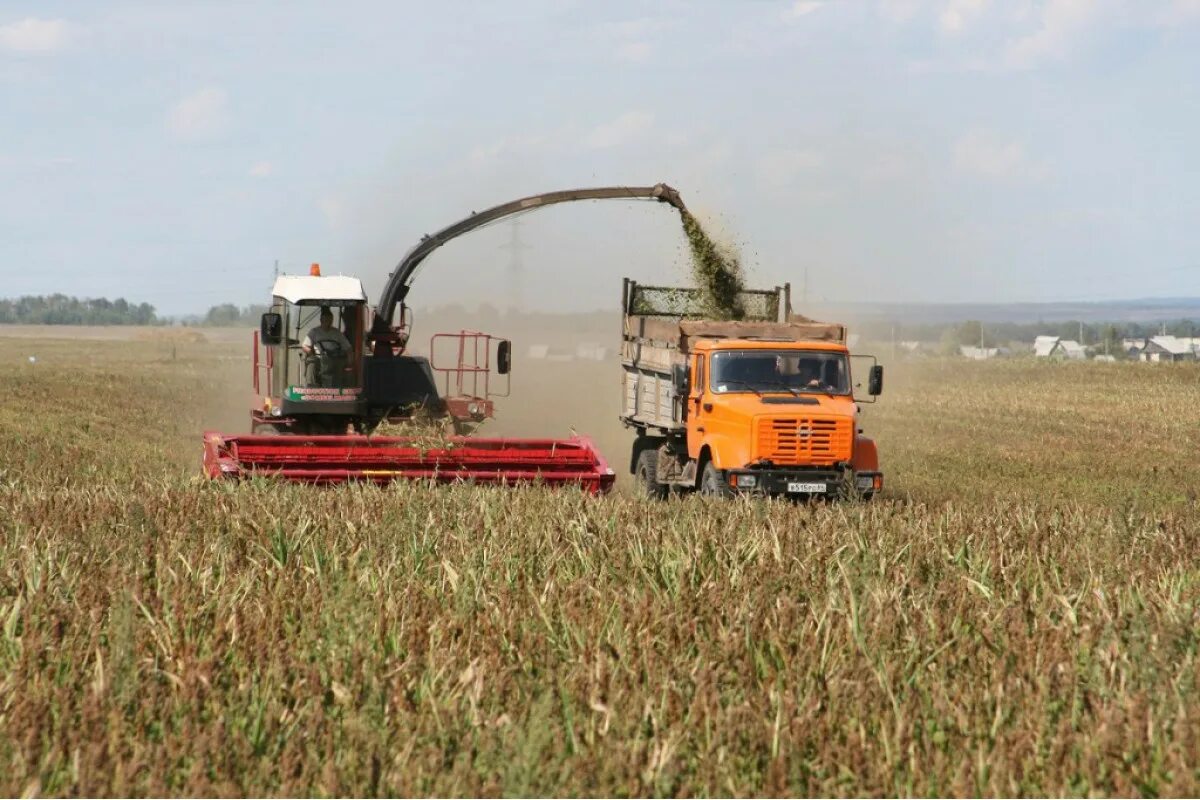 Кск 600. Комбайн КСК 600. Комбайн КСК-600 Палессе fs60. Комбайн кормоуборочный КСК -600 «Палессе fs60». КСК-600 Палессе fs60 Гомсельмаш.