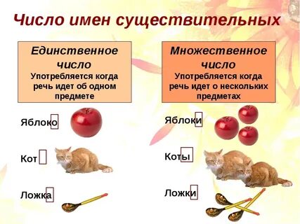 Число сущ 3 класс презентация