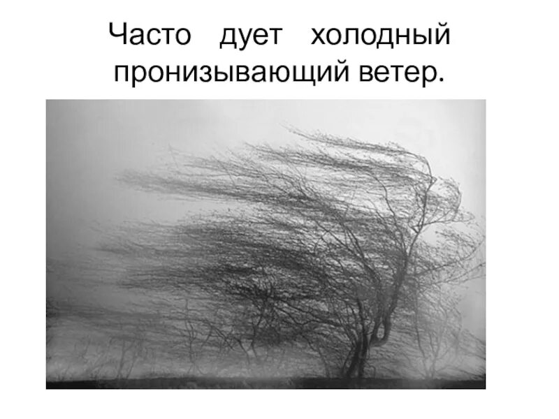 За окном дуть ветер холодный. Окна продувает от ветра. За окном дуть ветер холодный. Ветки деревьев на окно. Дует из окна.