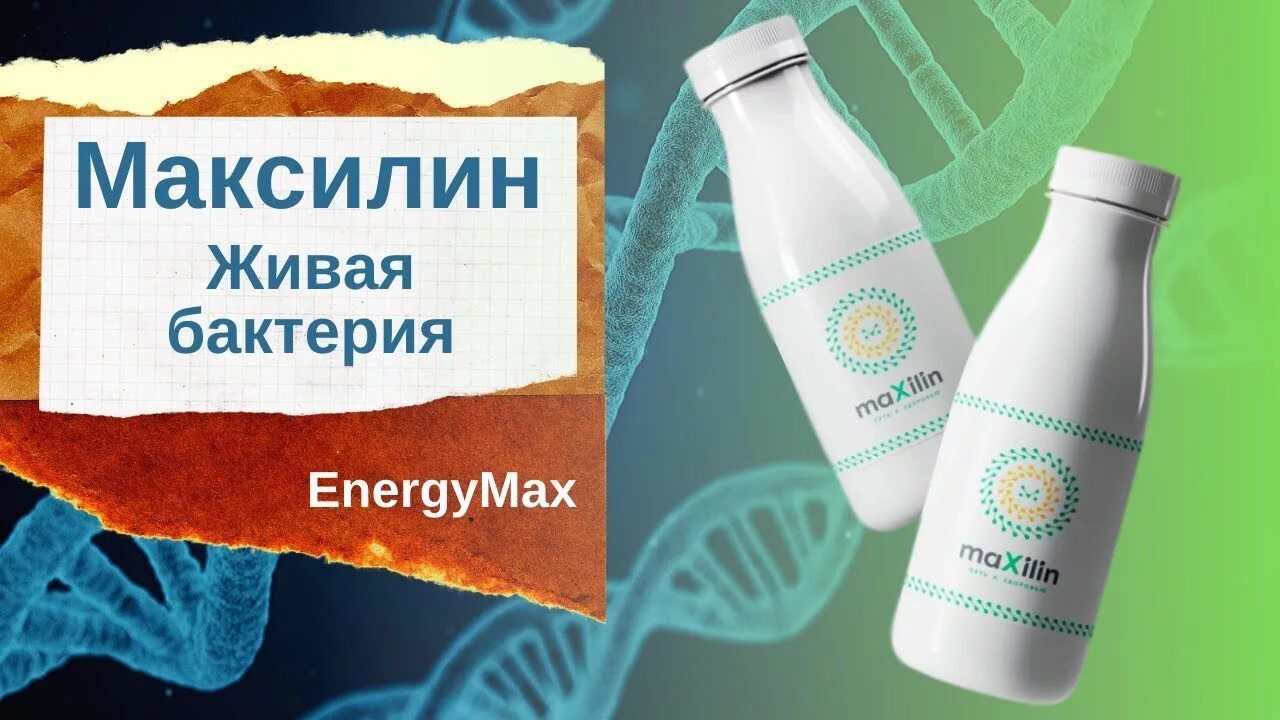 Максилин отзывы. Максилин Живая бактерия. ENERGYMAX продукция. Energy Max компания. Максилин пробиотик порошок.