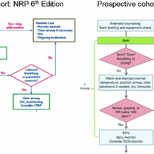 Аис нрп. Neonatal Resuscitation program. NRP Neonatal Resuscitation program. NRP.