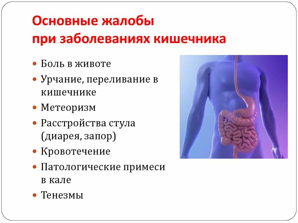 Лечение воспаления толстого и. Кишечные заболевания симптомы. Основные кишечные заболевания. Основные заболевания кишечника.