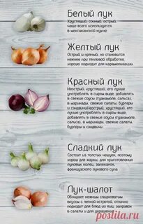 Лук для похудения
