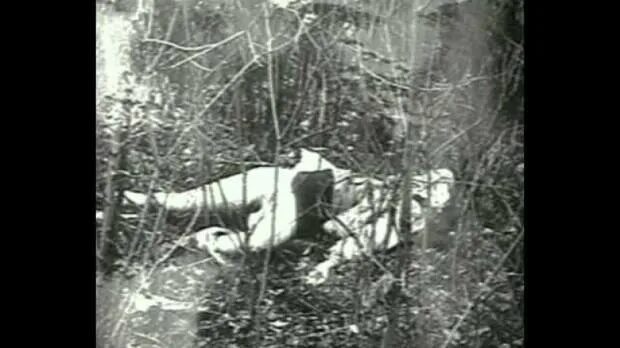 Сливко чикатило пичушкин. Том что не убитое то мертвое. Нельзя убить то что уже мертво. Анатолий сливко преступления. Нельзя убить то что мертво.