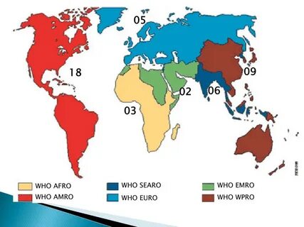 World organization