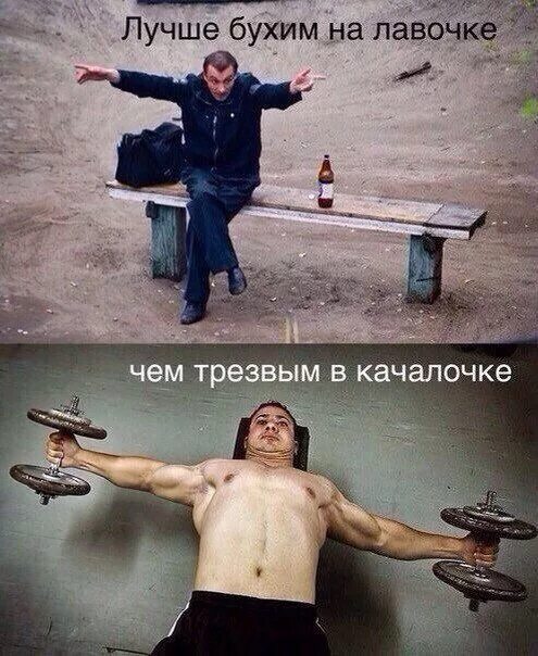 Непьющая девушка. Выглядеть трезвым. Собаки приколы с надписями. Шутки про фотошоп. Футболка трезвость.