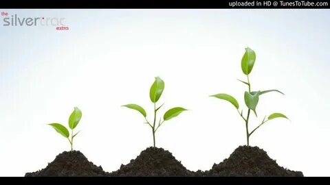 But growing