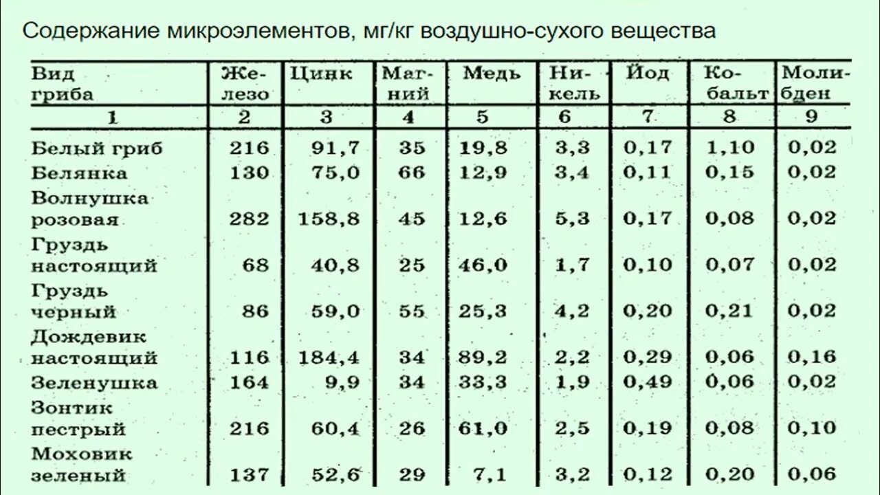 Сколько жира в грибах. Пищевая ценность грибов таблица. Грибы химический состав. Питательная ценность грибов. Грибы химический состав и пищевая ценность.