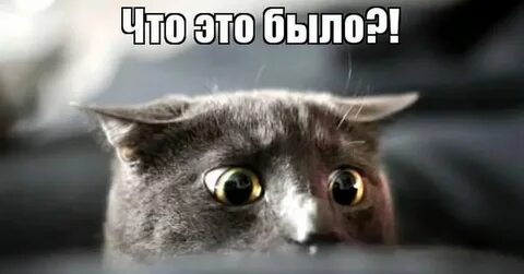 Картинка это было недавно
