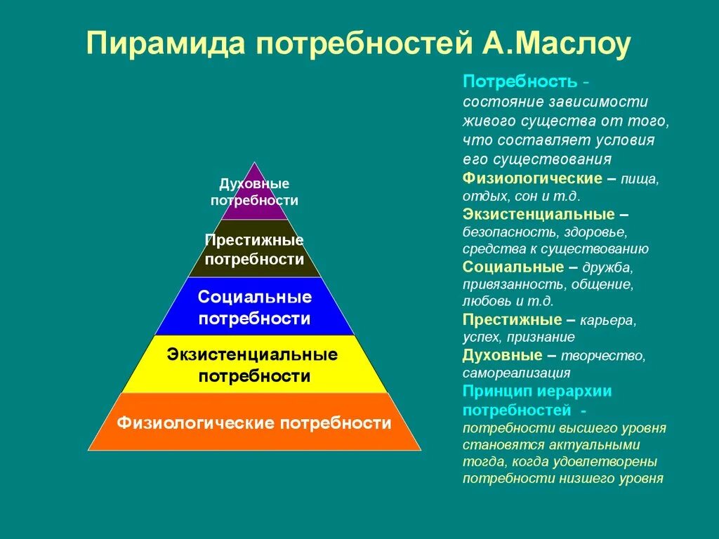 К высшим потребностям относятся