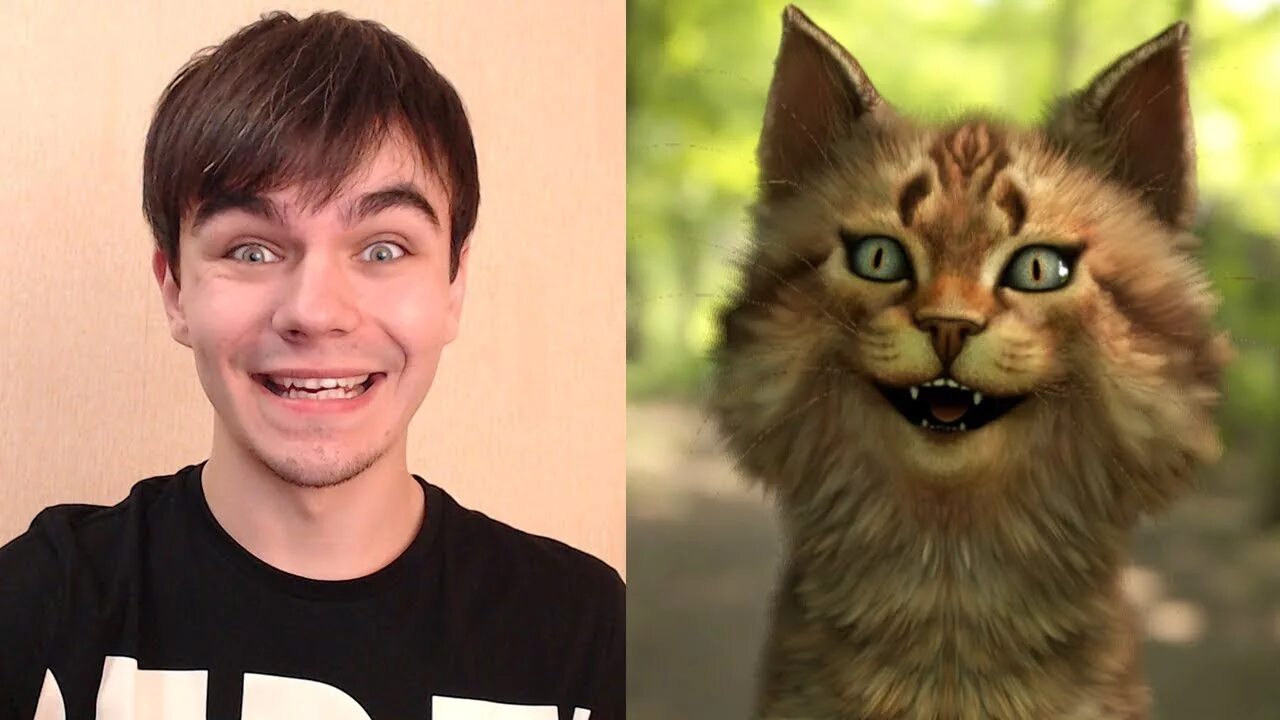 Блогер лапа. Весёлый кот в реальной жизни. Лицо кота Лео в реальной жизни. Настоящее лицо веселого кота. Лицо кота игромана.
