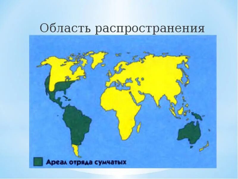 Распространение млекопитающих. Место обитания сумчатых на карте. ареал обитания сумчатых животных. современное распространение сумчатых. местообитание сумчатых.