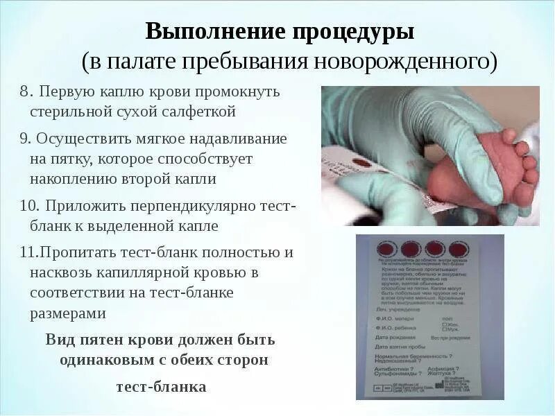 В каком возрасте проводится неонатальный скрининг. Забор крови у новорожденного алгоритм. техника забора крови на фку у новорожденных. алгоритм проведения неонатального скрининга новорожденных. методика забора крови из пятки у новорожденного.