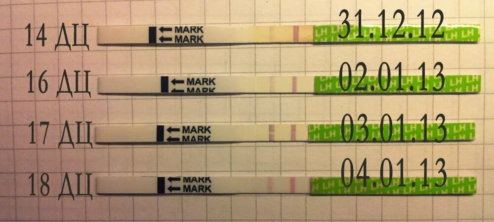 Отслеживаем овуляцию по тестам. Отслеживание овуляции тестами. Тест на овуляцию отслеживание. Отследить овуляцию по тестам на беременность. Отслеживание овуляции