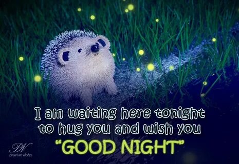 Thank you and goodnight