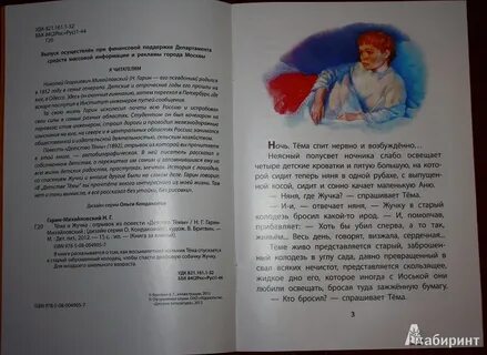 Отрывок из повести гарина михайловского детство темы
