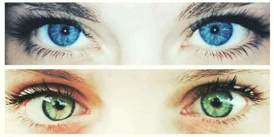 Сравнить зелёные глаза с голубыми. Цвет глаз у русских. Смесь карих и голубых глаз. Зеленые глаза и голубые глаза сравнение.
