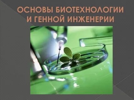 Биотехнологии в жизни каждого