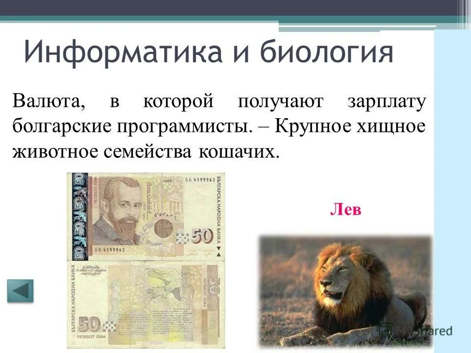 Информатика биология русский. Биология и информатика. валюта в которой получают зарплату болгарские программисты. связь информатики с биологией. информатика в биологии кратко.
