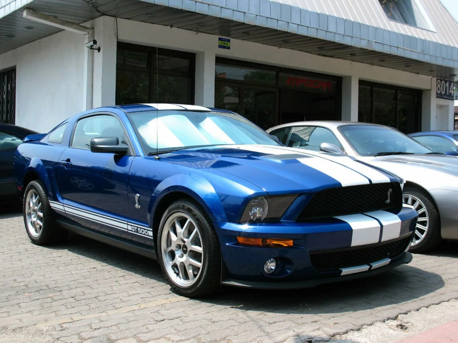 Мустанг цена. Ford Shelby gt500 2009. Ford Mustang Shelby gt500 2009. Форд Мустанг Шелби gt 500 2009. Форд Мустанг gt500 Кобра.