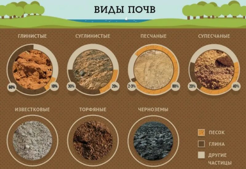 Какая почва подойдет