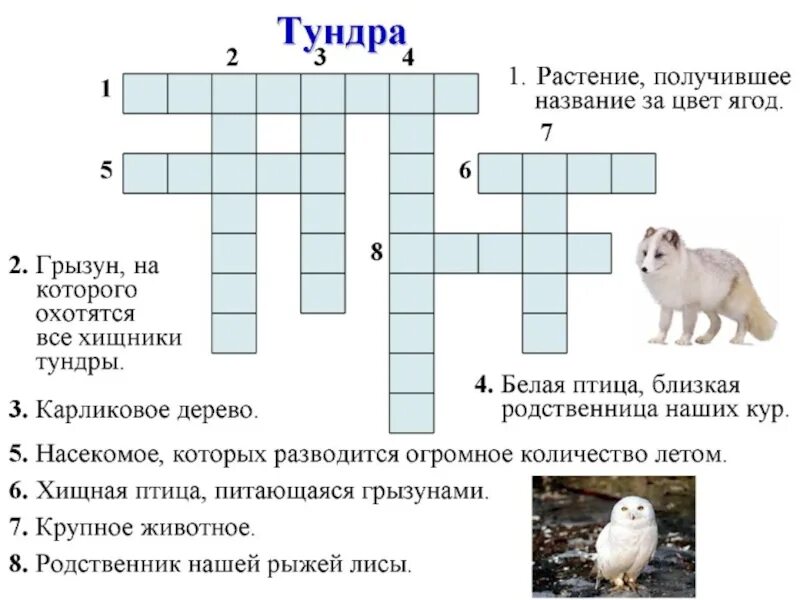 Вопросы по теме растительный мир