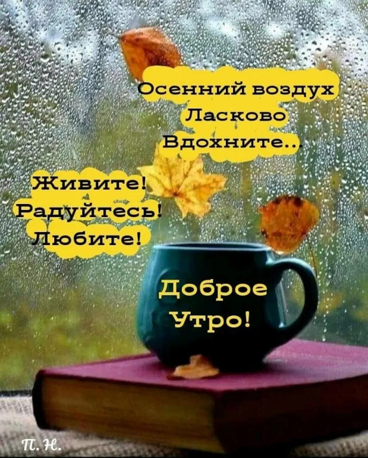 Доброе утро сентября со смыслом красивые. Открытки доброе утро. хорошего начала дня. позитивного утра. пожелания с добрым пасмурным утром.