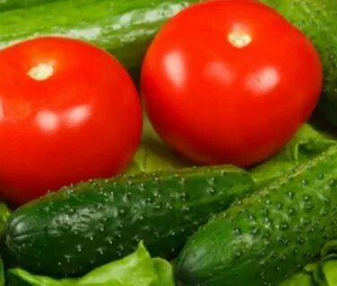 Vegetable production