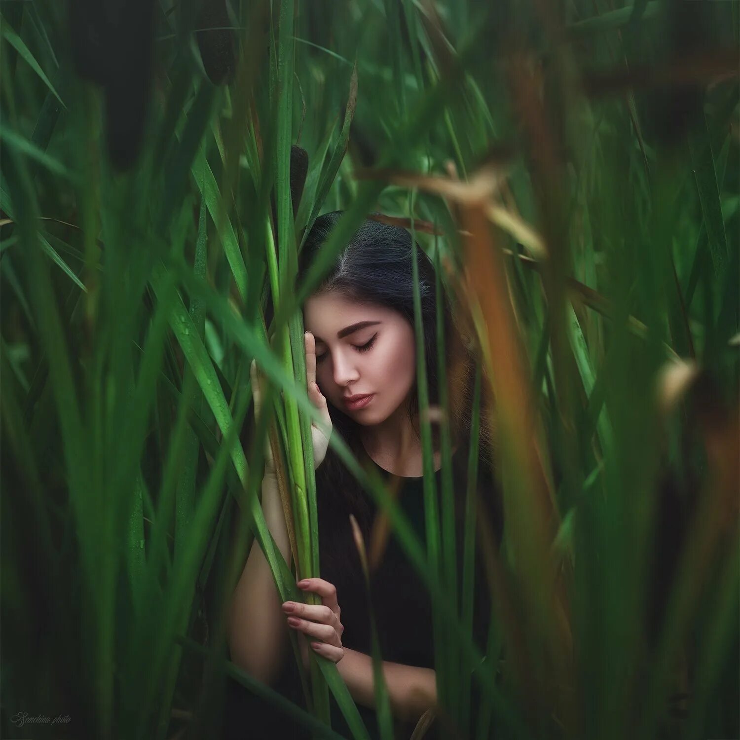 Фотосессия в камышах летом. Фотосессия в камышах девушка. Шла баба камышами. Фотосессия девушки на природе. Девушка в камышах.