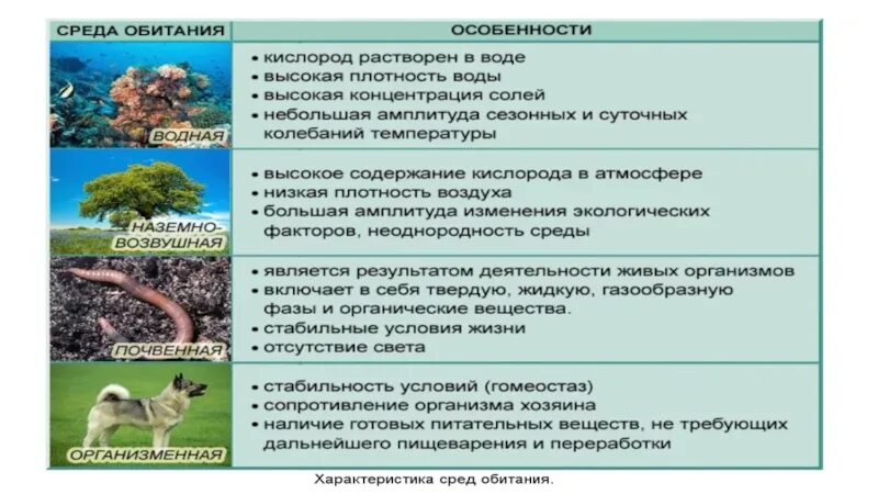 Тест среды обитания живых организмов 5 класс. Лимитирующие факторы среды обитания. Среды обитания организмов таблица 9 класс. Свойства среды обитания организмов таблица. Среды обитания организмов таблица 11 класс.