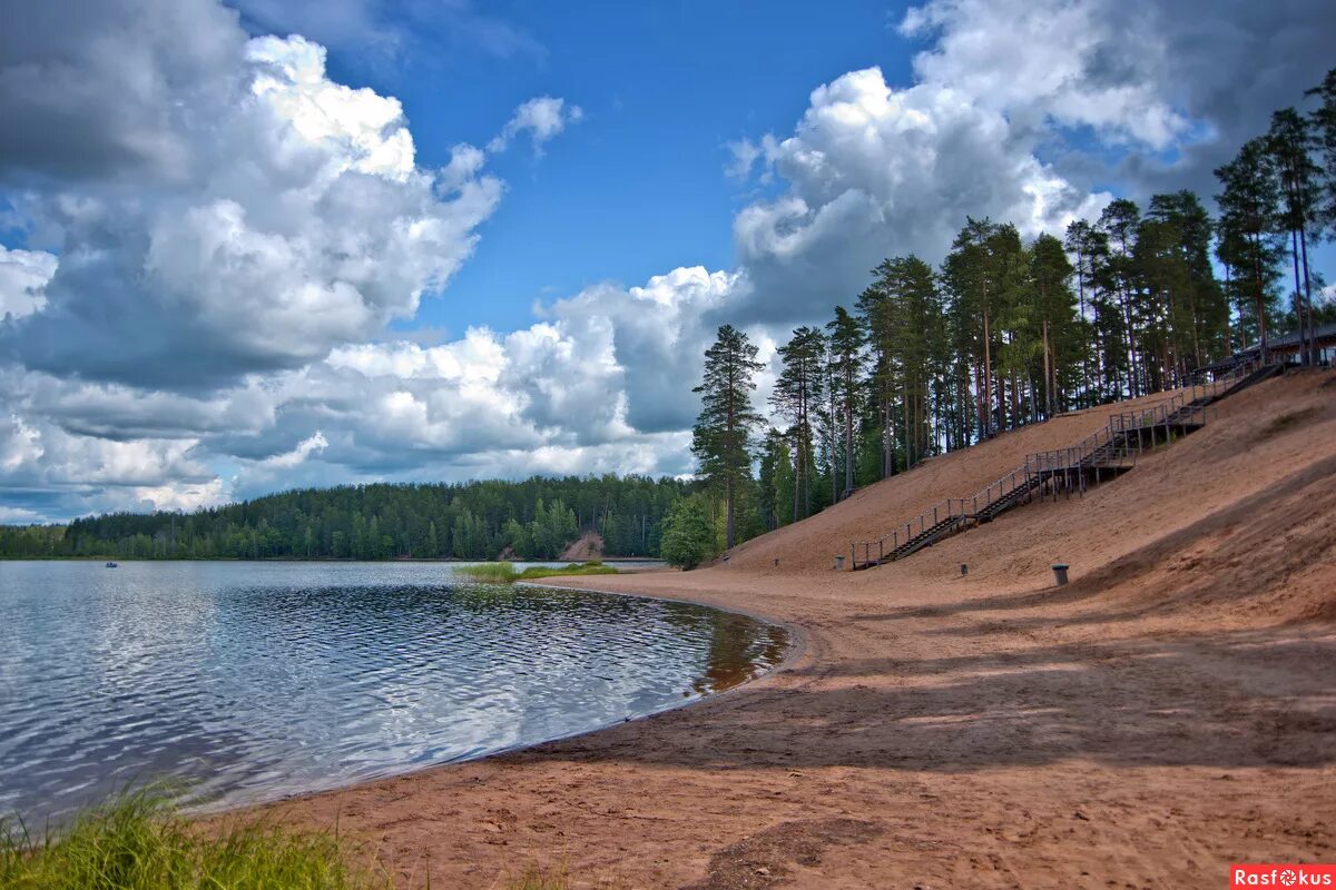 большое симагинское озеро ленинградская область. озера спб ленобласть. суворовское озеро ленинградская область. приозерск озеро ястребиное. белое озеро ленинградская область.