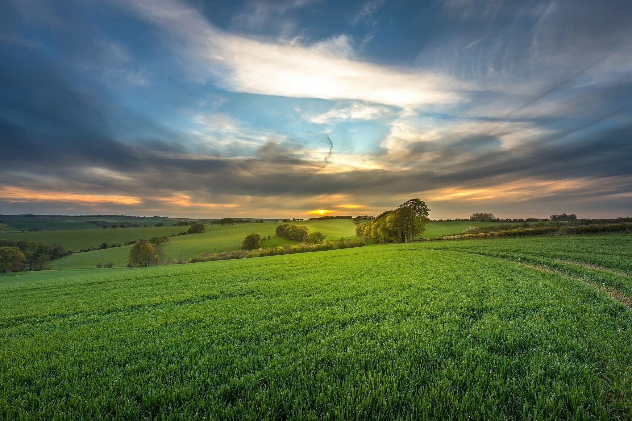 В поле. Красивое поле. Природа поле. Поле фото. Fields field html