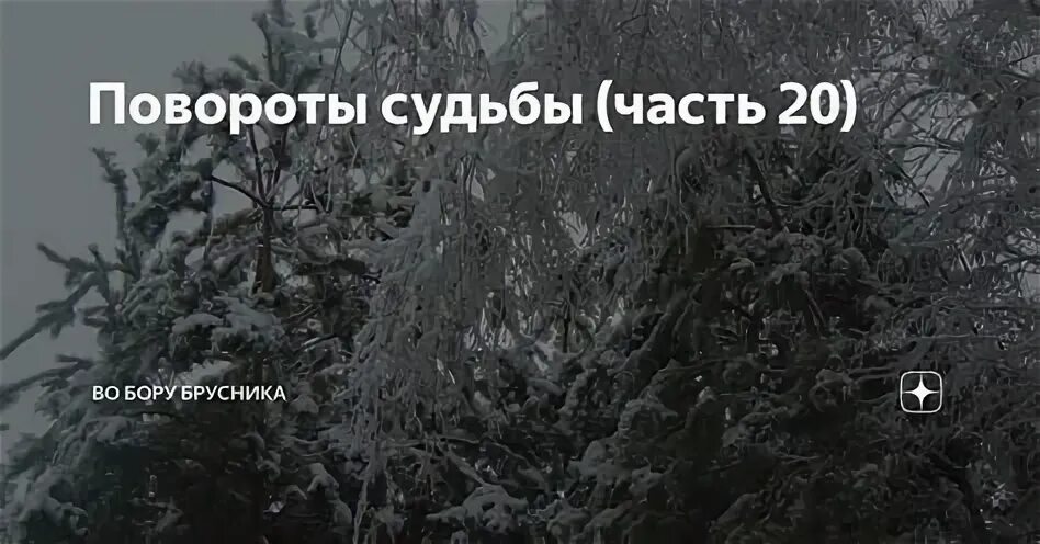 Во бору брусника новые читать дзен