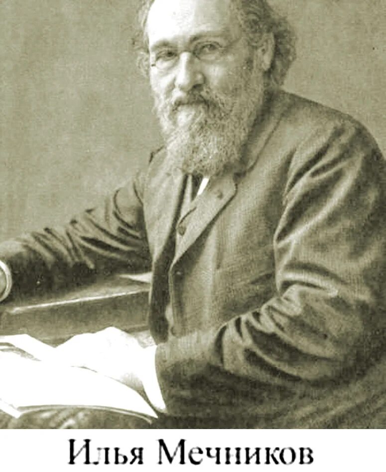 Мечников м. Ильи ильича мечникова (1845—1916). илья мечников. илья ильич мельников. илья ильич мечников портрет.