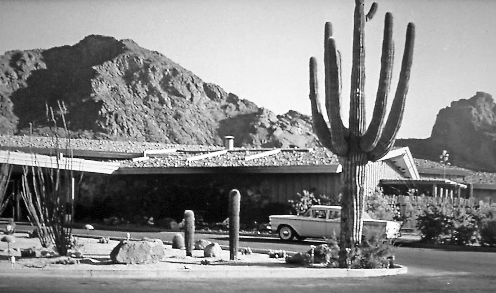 Город меса штат аризона. Photographers in arizona history and directory. Аризона 2024. Меса аризона. Аризона история.