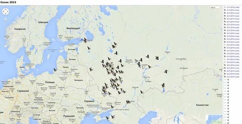 Карта пролета гусей
