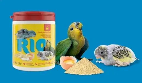 Корм для птенцов