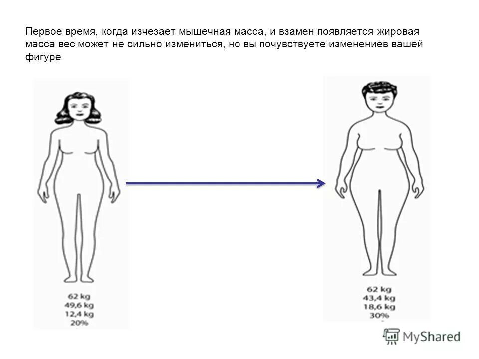 весы мышечная жировая масса. состав тела биоимпедансный. умные весы. анализ состава тела. килограмм жира и килограмм мышц.