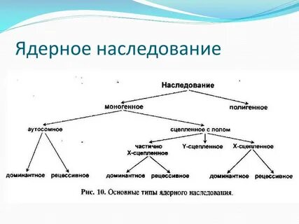 Механизмы наследования