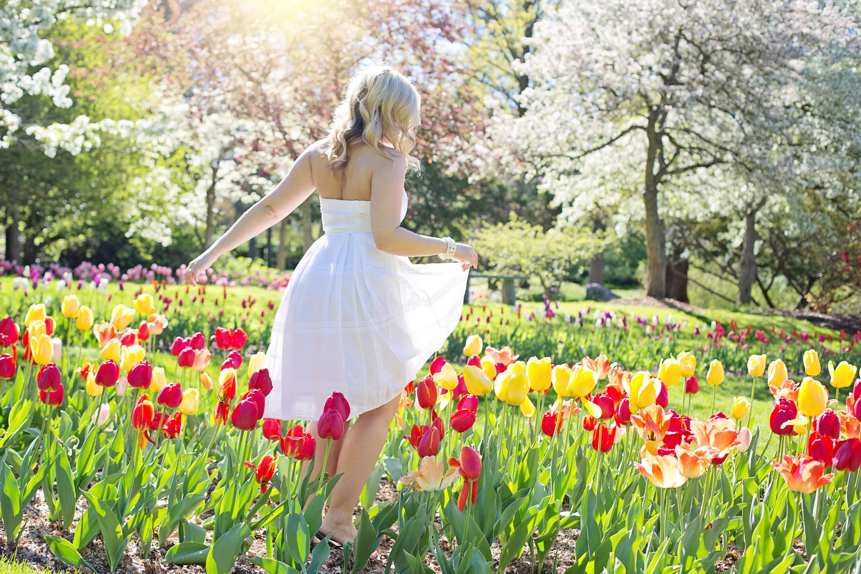 Spring women. Фотосессия с тюльпанами. Тюльпаны в саду. Девушка с весенними цветами.