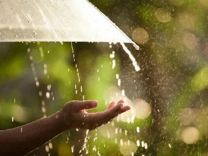 Rain watching