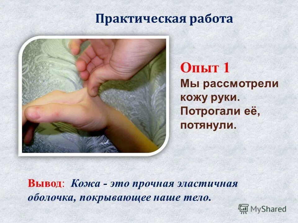 Кожа на ощупь 3 класс. Надежная защита организма. ладонь для презентации. пальцами оттянуть кожу что с ней происходит. практическая работа на тему кожа.