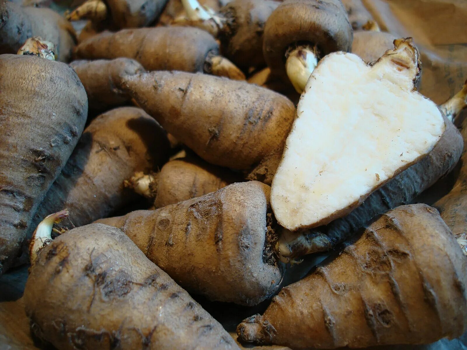 Батат земляная груша. Стрелолист клубни съедобные. Колоказия клубневая. Дикая картошка топинамбур. Ямс клубненосный.