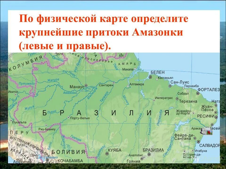 Исток и Устье реки Амазонка на карте. Исток реки Амазонка на карте. Притоки реки Амазонка.