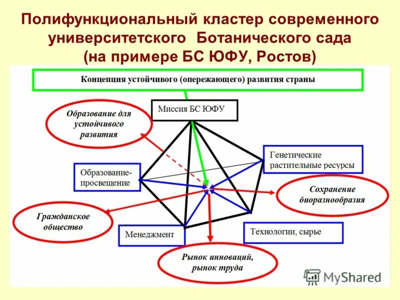 Современные кластеры. Кластер ботаника. О Ботанический сад кластер. Кластер разделы ботаники. Современная теория эволюции кластер.