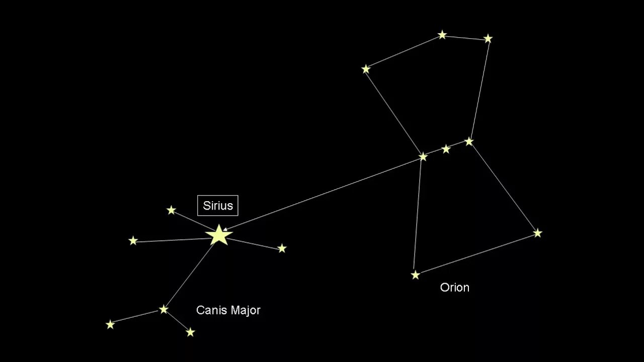 Canis major созвездие. Canis major созвездие. Canis major созвездие. Сириус звезда большого пса. Сириус созвездие самая яркая звезда.