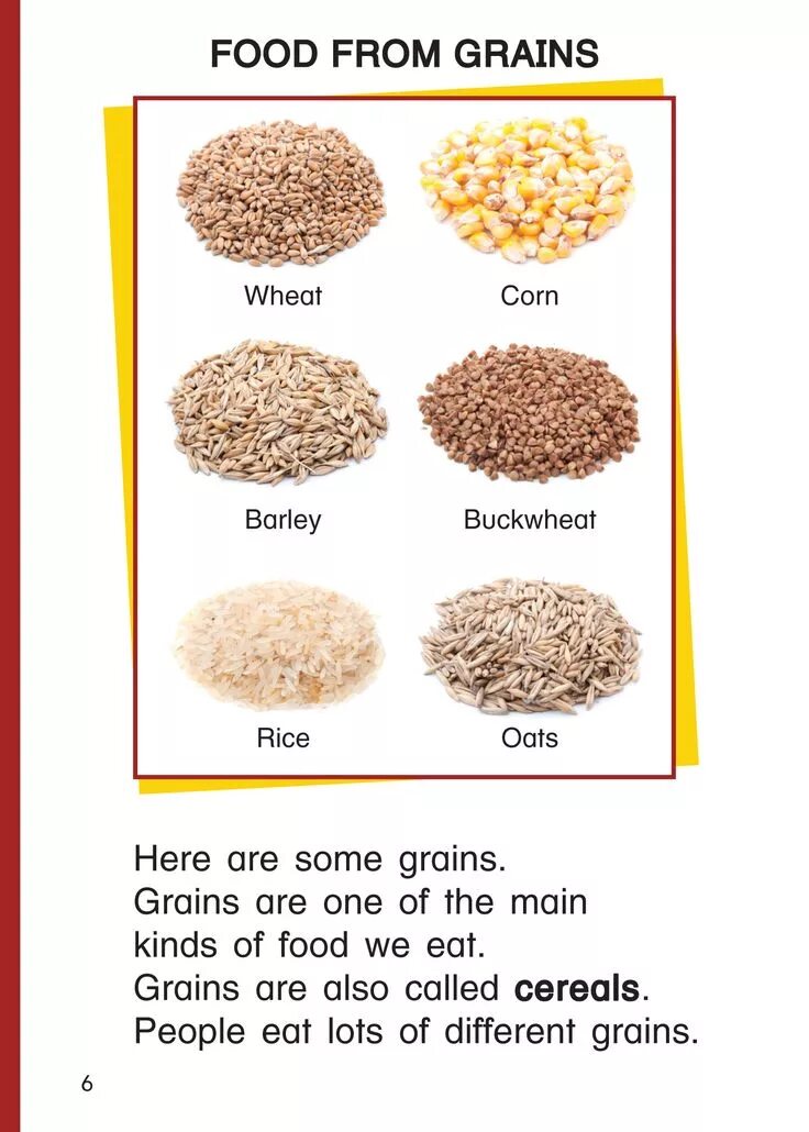 Grain перевод на русский. Grain транскрипция. Grain perevod. Grains in english. Sorghum grain.