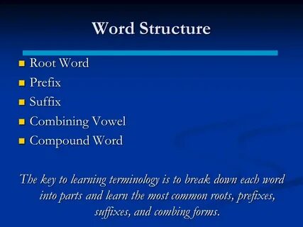 Word structure is